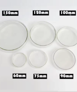 Alternative view of Borosilicate Glass Petri Dishes